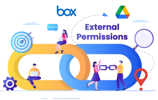Box external permissions to google drive
