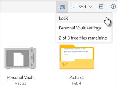 lock personal vault