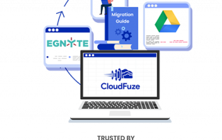 Egnyte to Google Shared Drives Migration