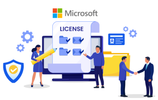 Manage Microsoft 365 Licenses