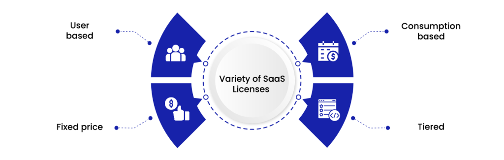 Variety of SaaS Licenses