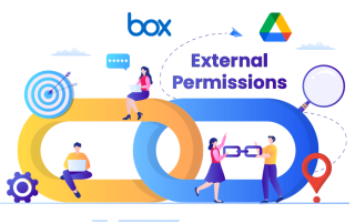 Box external permissions to google drive