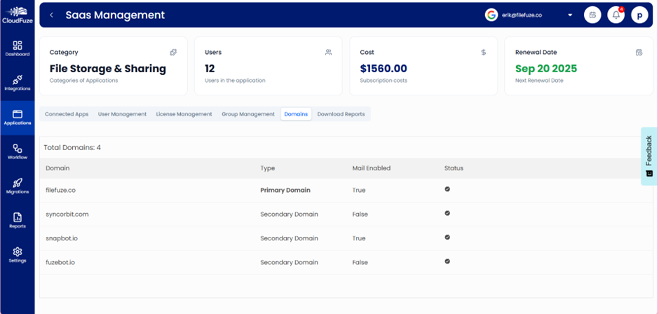 Preview of Domains in Google Workspace