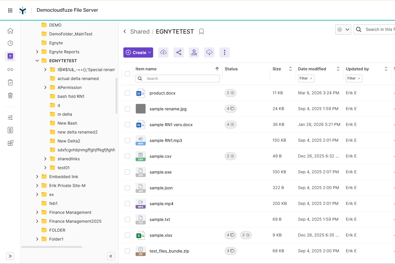 Shows different types of Egnyte files