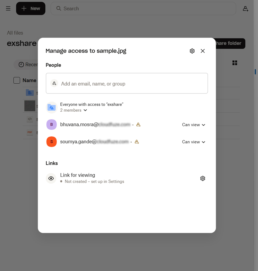 Dropbox platform with viewing access to external users