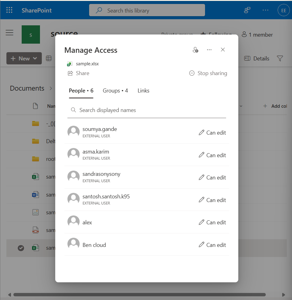 SharePoint excel file named sample holds editing permissions